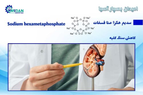 سدیم هگزا متا فسفات در کلیه