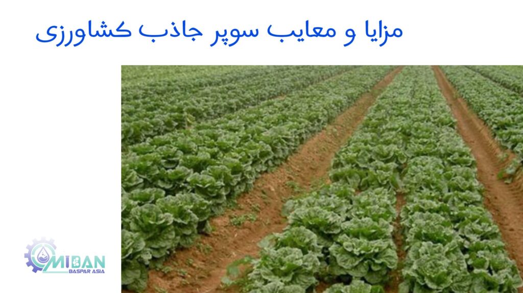 مزایا و معایب سوپر جاذب