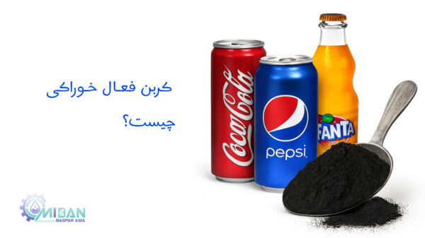 کربن فعال خوراکی چیست و چه کاربردهایی دارد؟ کربن فعال خوراکی چیست و چه کاربردهایی دارد؟