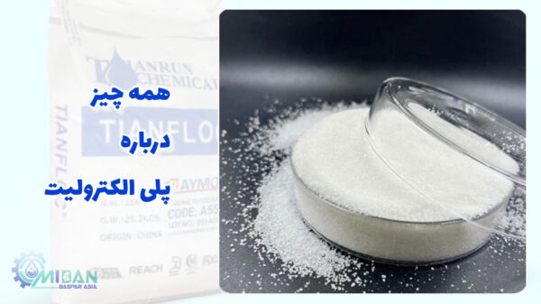 پلی الکترولیت چیست؟همه چیز درباره پلی الکترولیت ها پلی الکترولیت چیست؟همه چیز درباره پلی الکترولیت ها